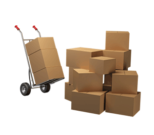 Overnight shipping service in Canada